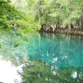Review photo of Manatee Springs State Park by PopandNana D., October 5, 2018