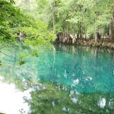 Review photo of Manatee Springs State Park Campground by PopandNana D., October 5, 2018