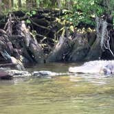 Review photo of Manatee Springs State Park Campground by PopandNana D., October 5, 2018