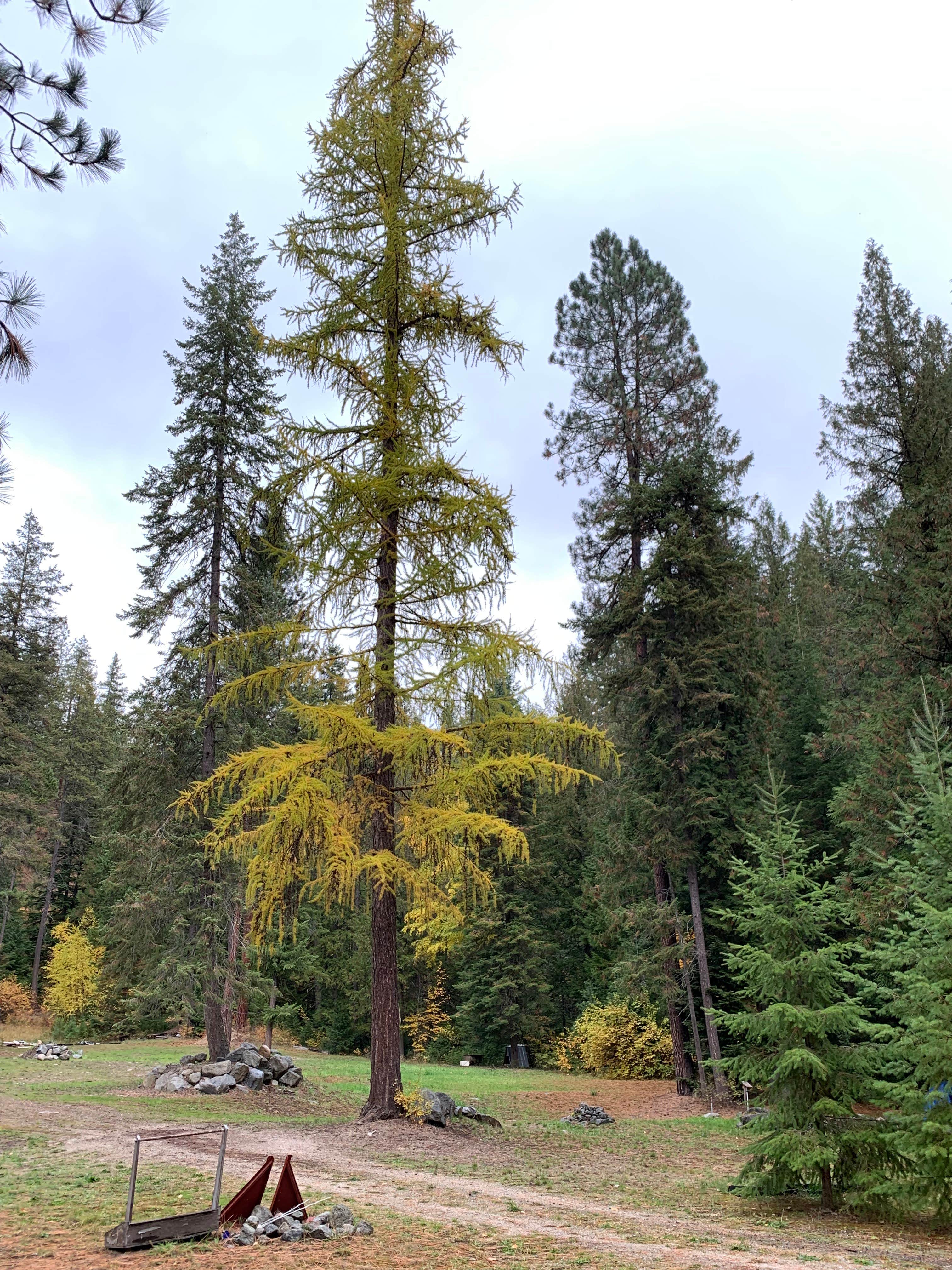 Camper-submitted photo at Okiewash near Cusick, WA