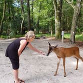 Review photo of Manatee Springs State Park Campground by PopandNana D., October 5, 2018