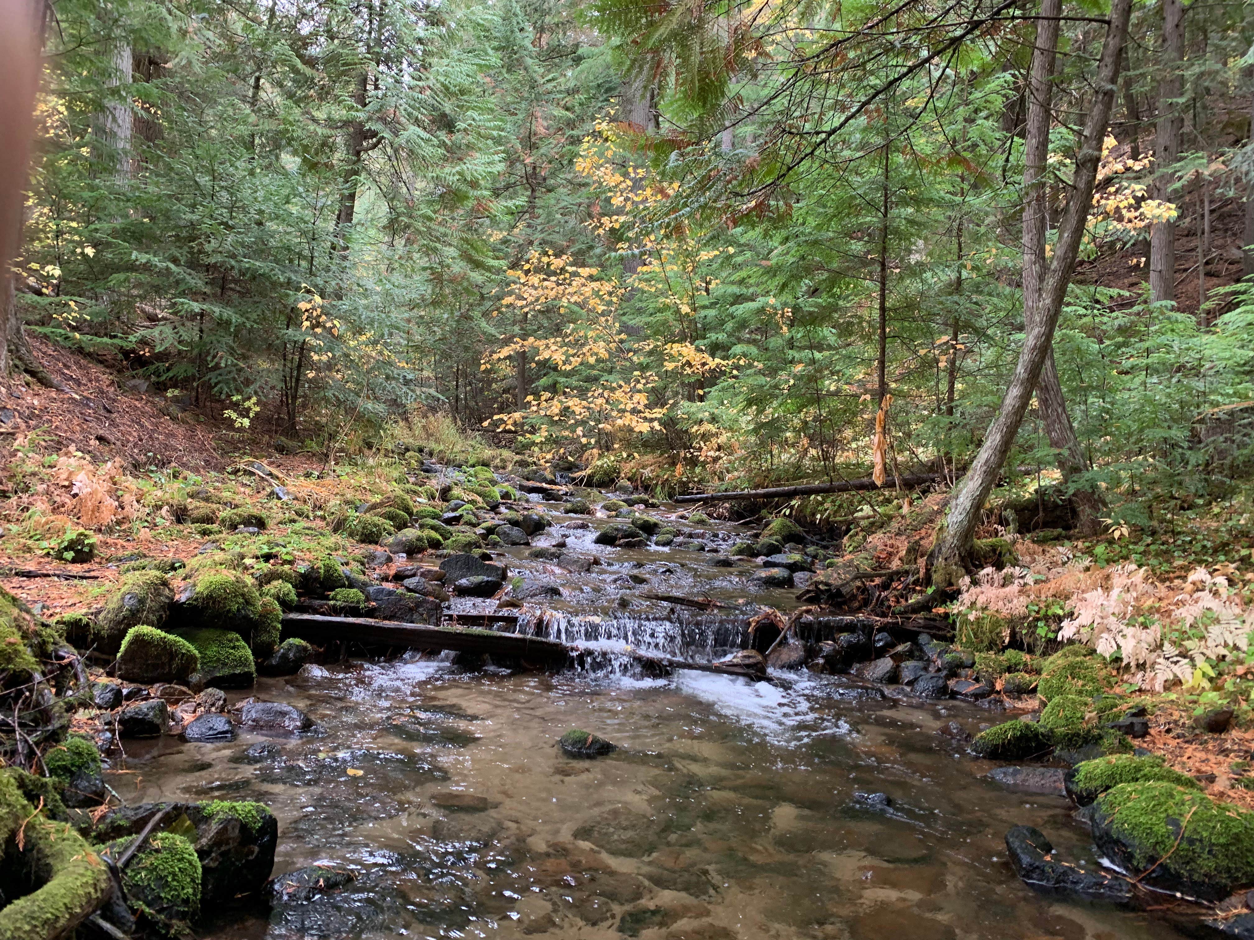 Camper-submitted photo at Okiewash near Cusick, WA