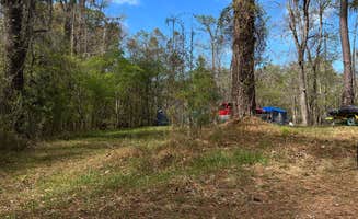 Andy K.'s photo of a dispersed camping area at Guilliard Lake near Pineville, SC