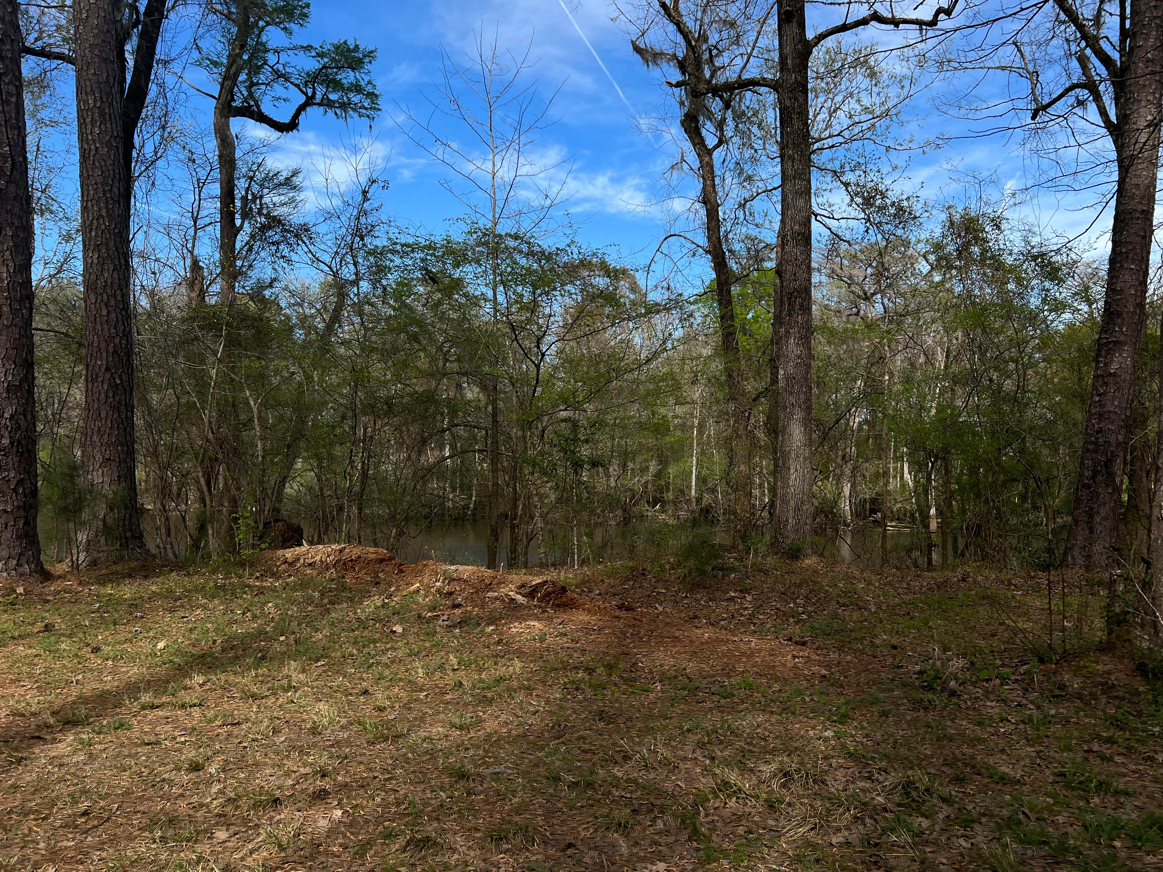 Camper-submitted photo at Guilliard Lake near Drayton, SC