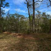 Review photo of Guilliard Lake by Andy K., March 17, 2023