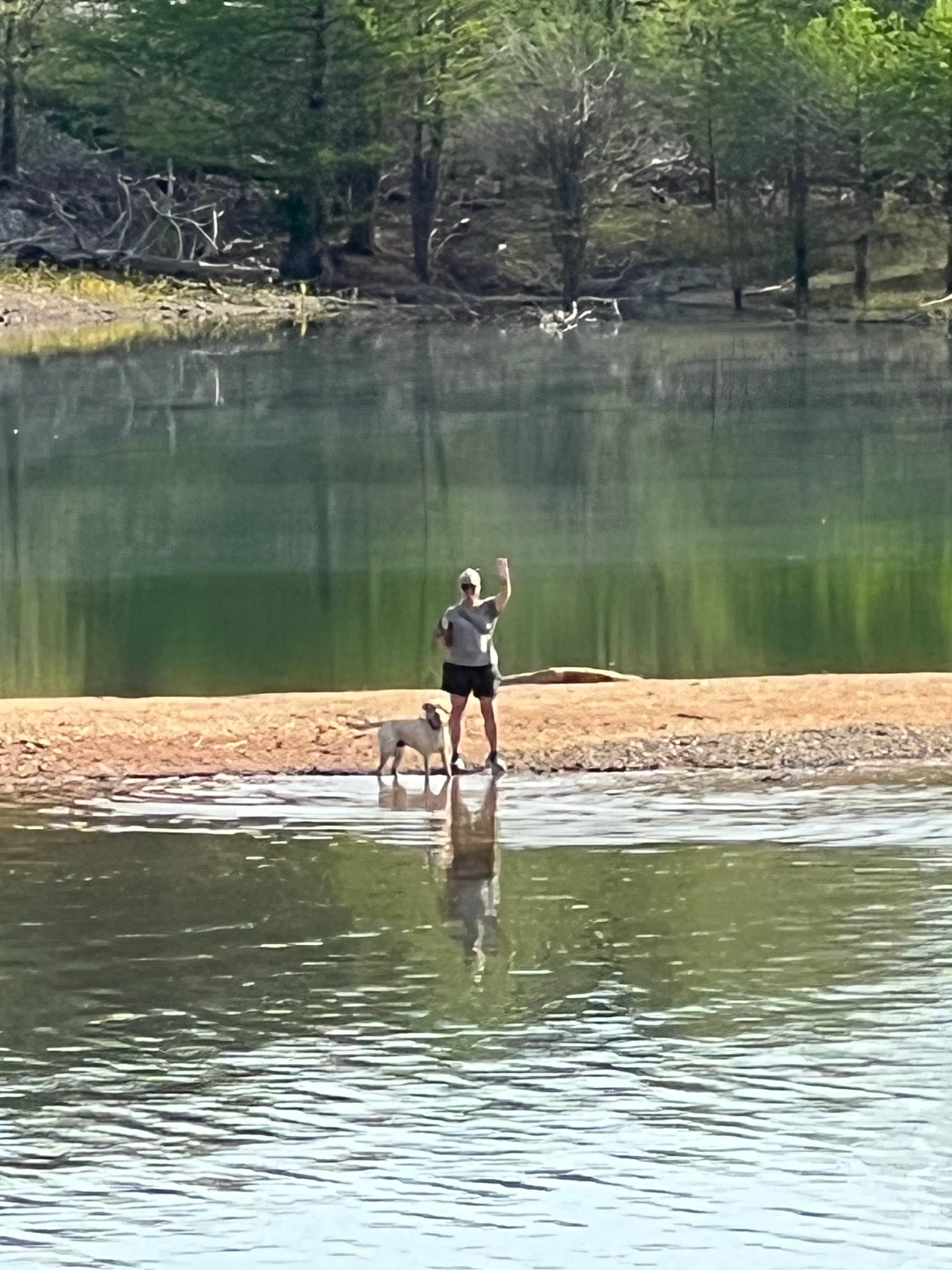 Jennifer N.'s photo of camping with pets at Loyston Point Campground near Oliver Springs, TN