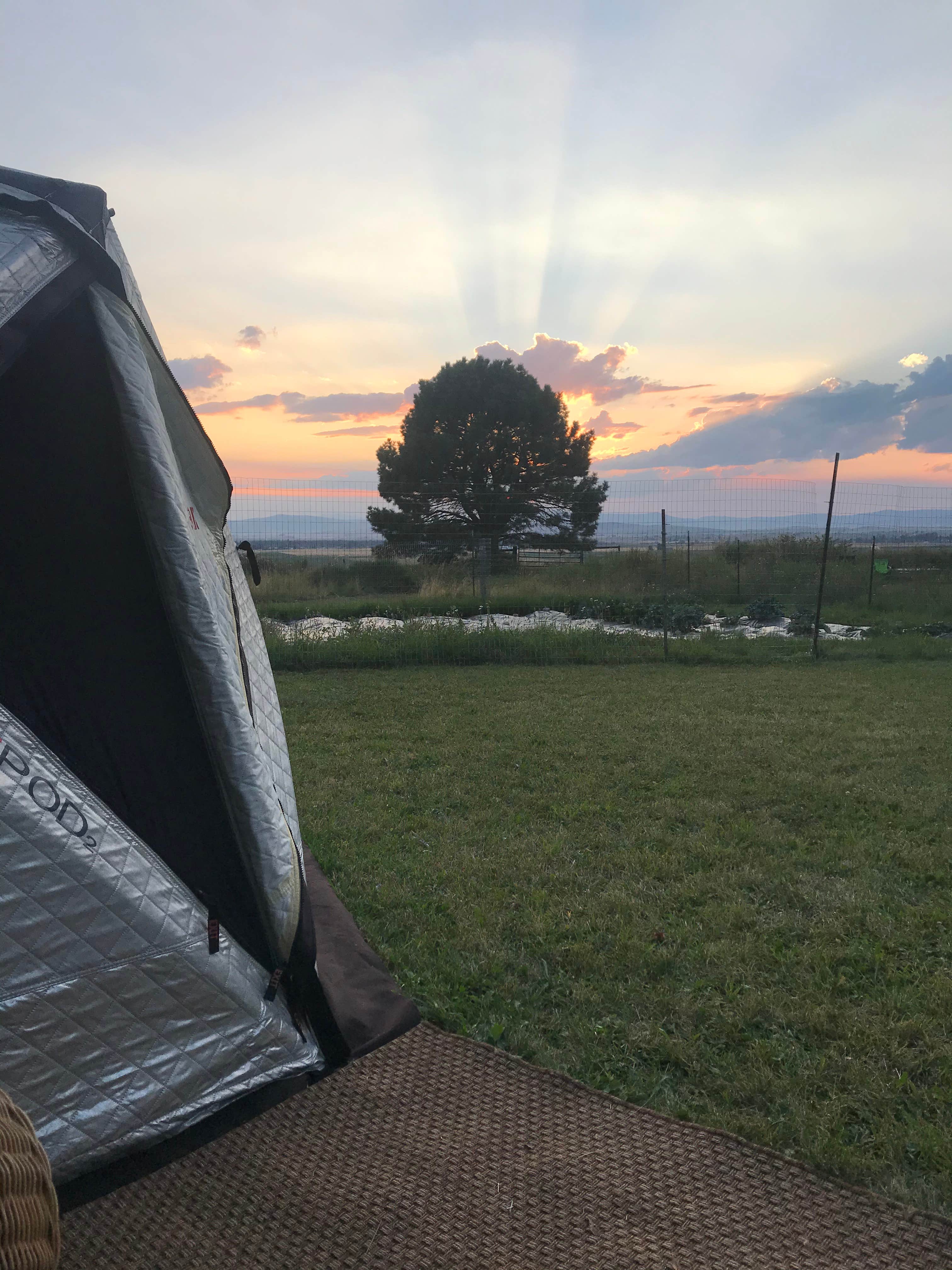 Meredith T.'s photo of tent camping at Mere’s Magic Trout Pond near Condon, MT