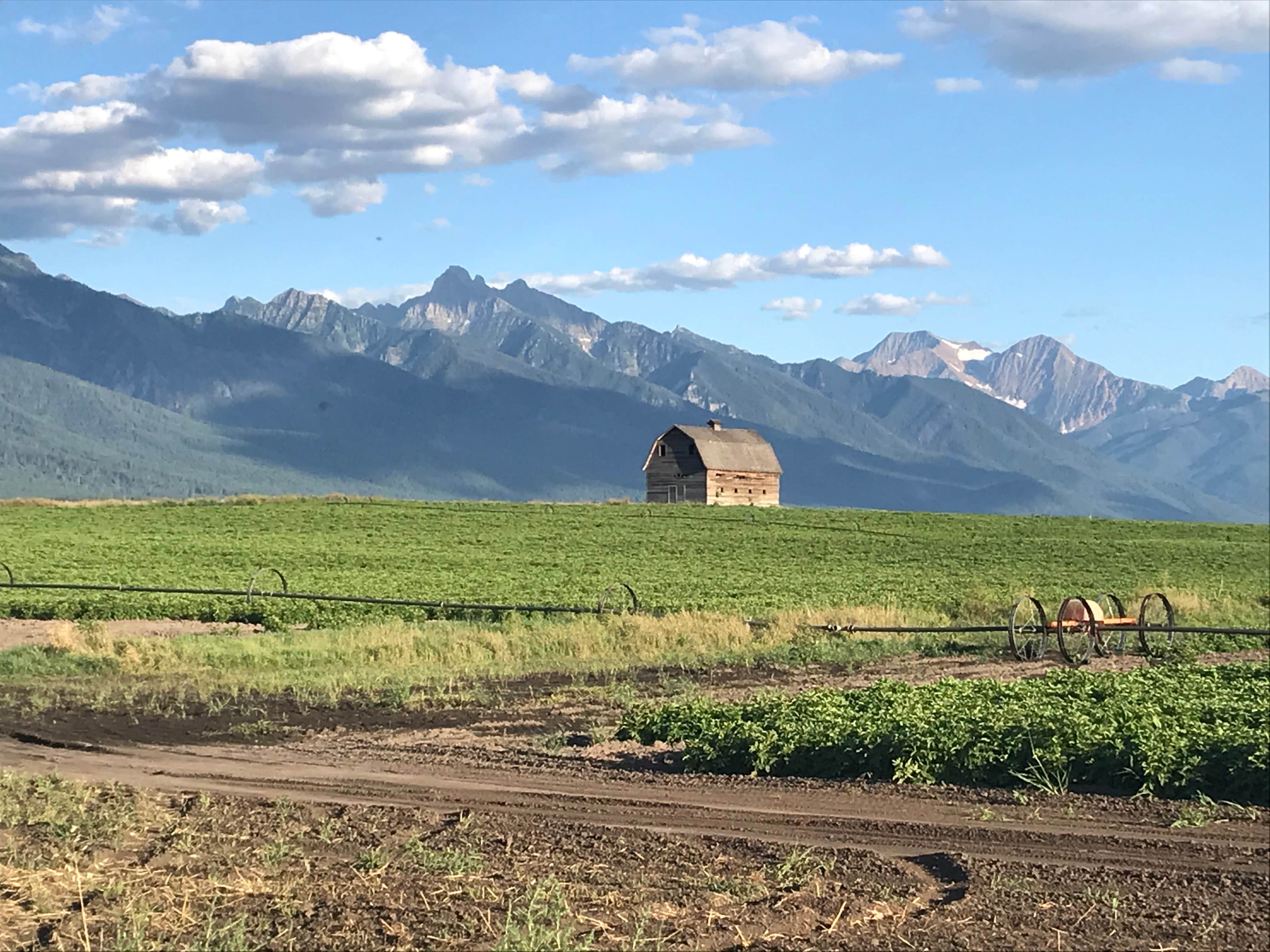 Camper-submitted photo at Mere’s Magic Trout Pond near Condon, MT