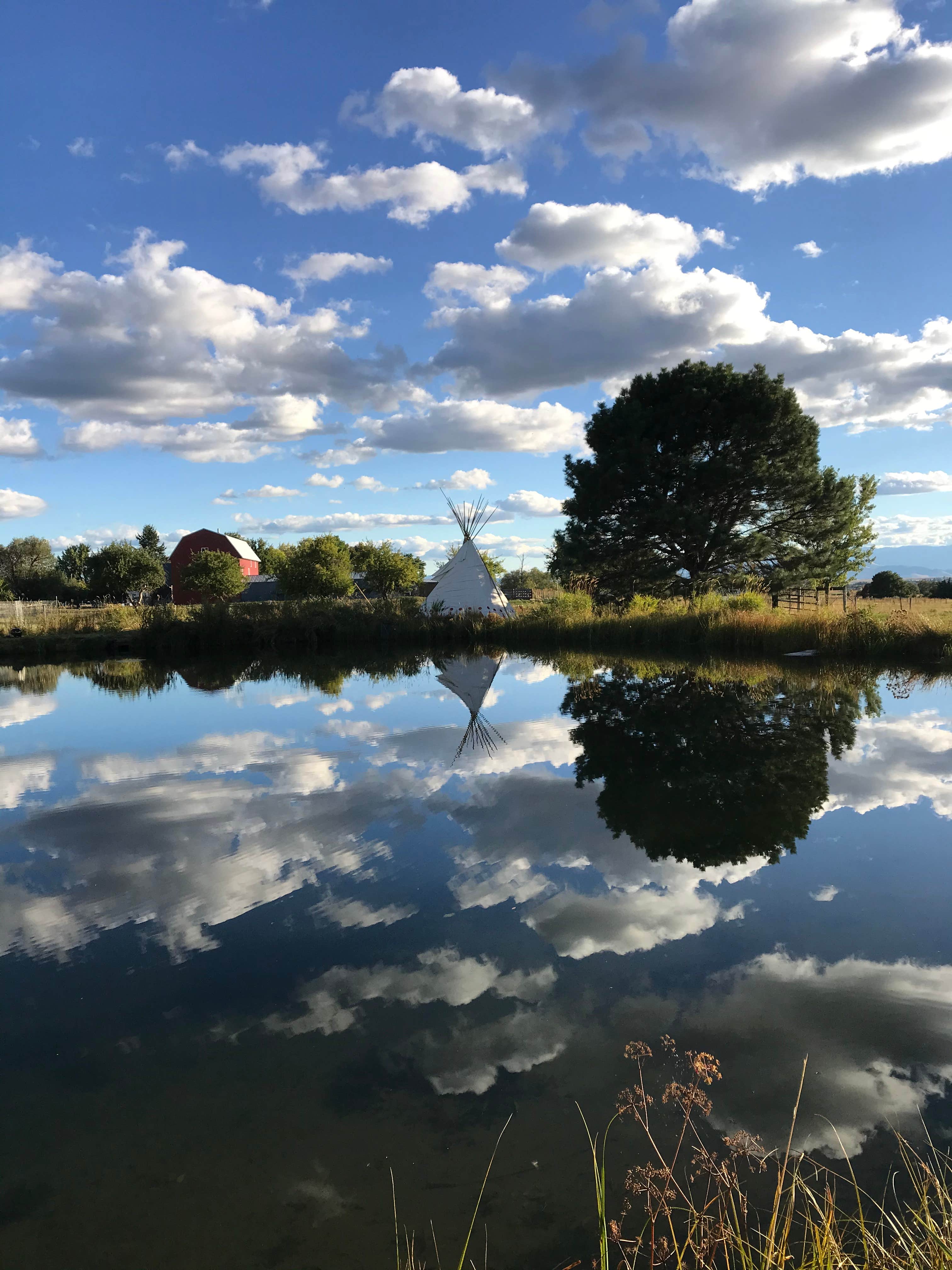 Camper-submitted photo at Mere’s Magic Trout Pond near Condon, MT