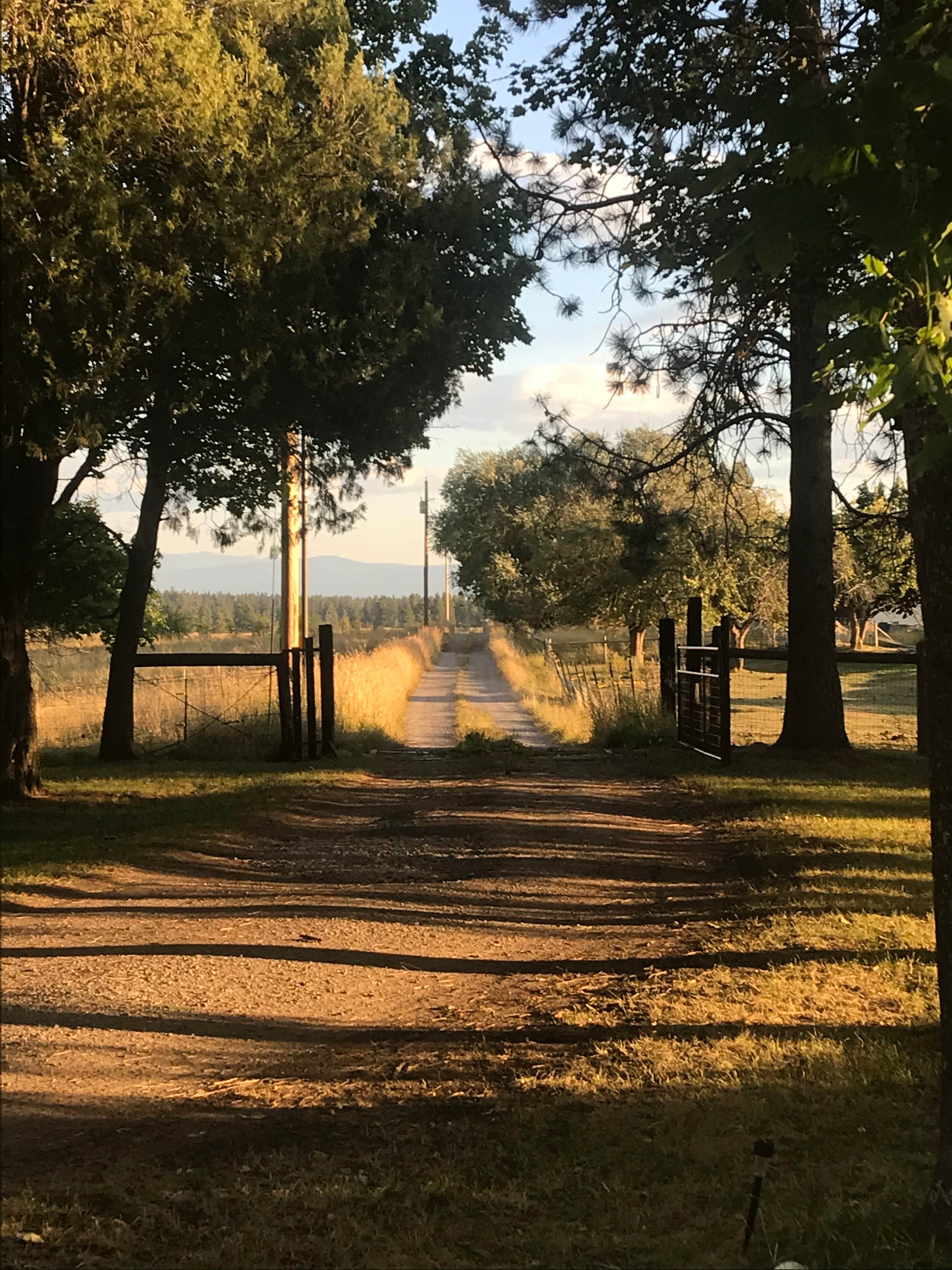 Camper-submitted photo at Mere’s Magic Trout Pond near Ronan, MT