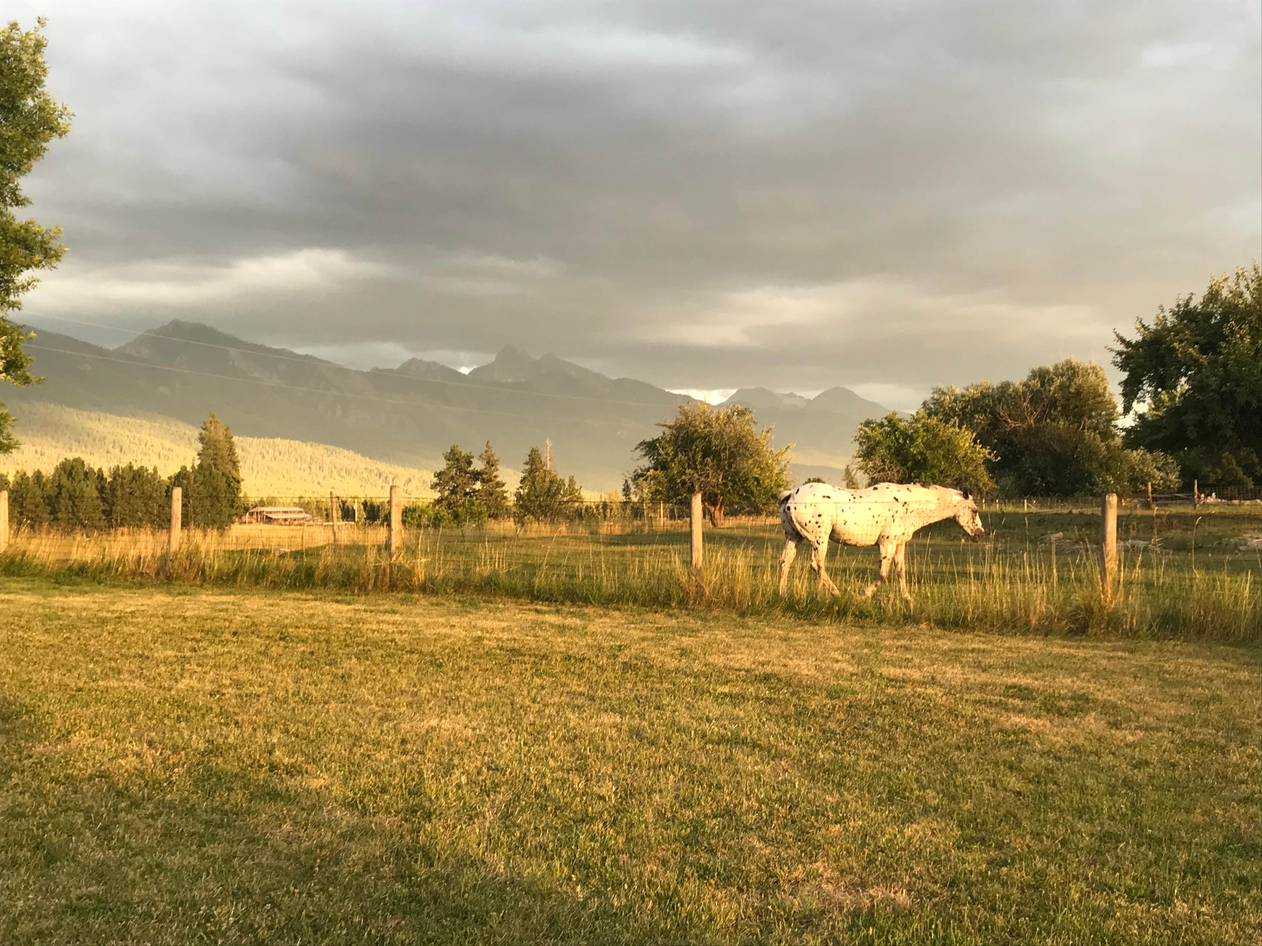 Mere’s Magic Trout Pond