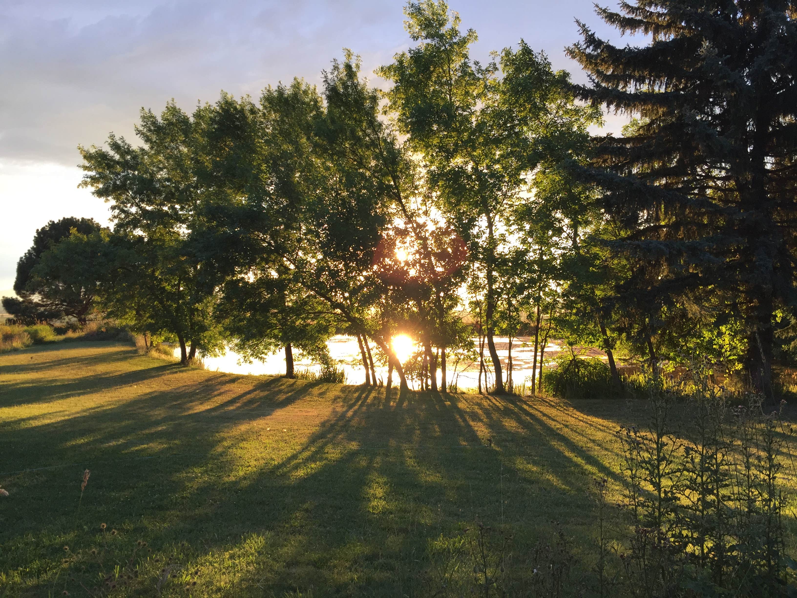 Mere’s Magic Trout Pond