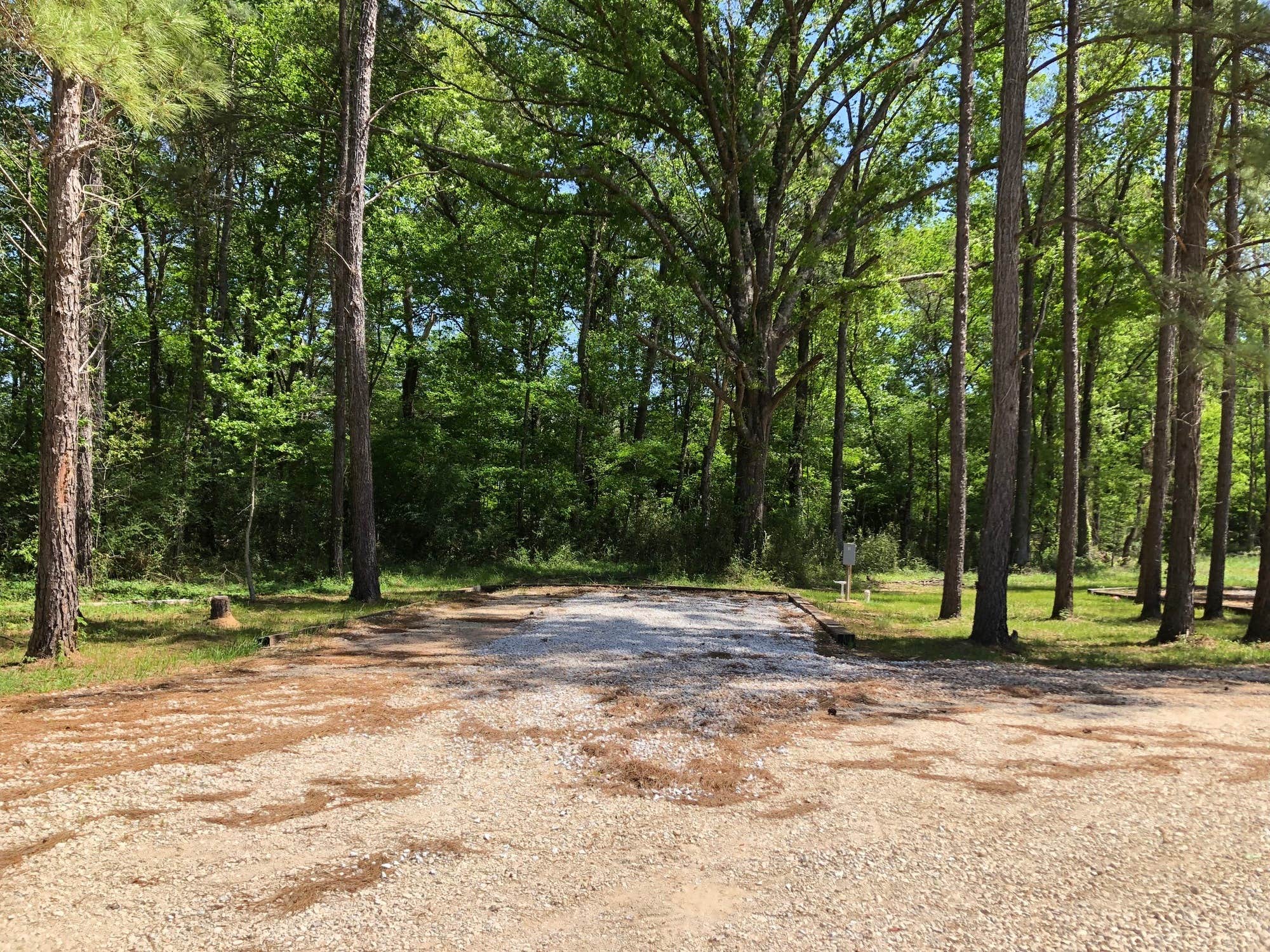 Camper-submitted photo at Red River Valley RV Park near Lecompte, LA