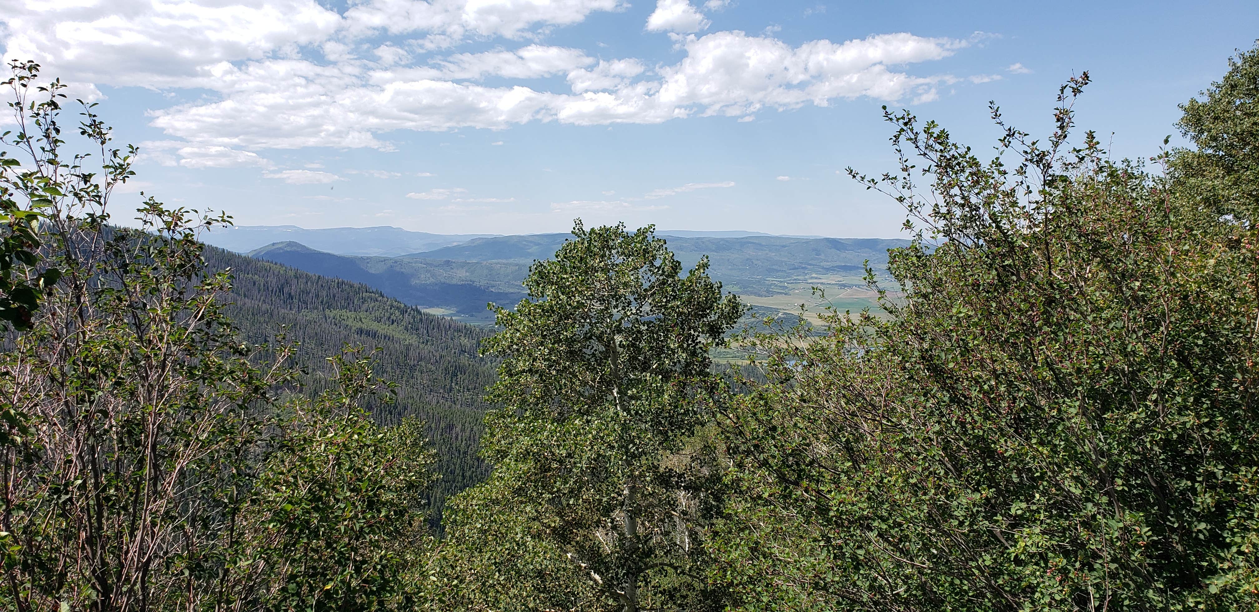 Camper submitted image from Dispersed Overlook off Hwy 40 - 2