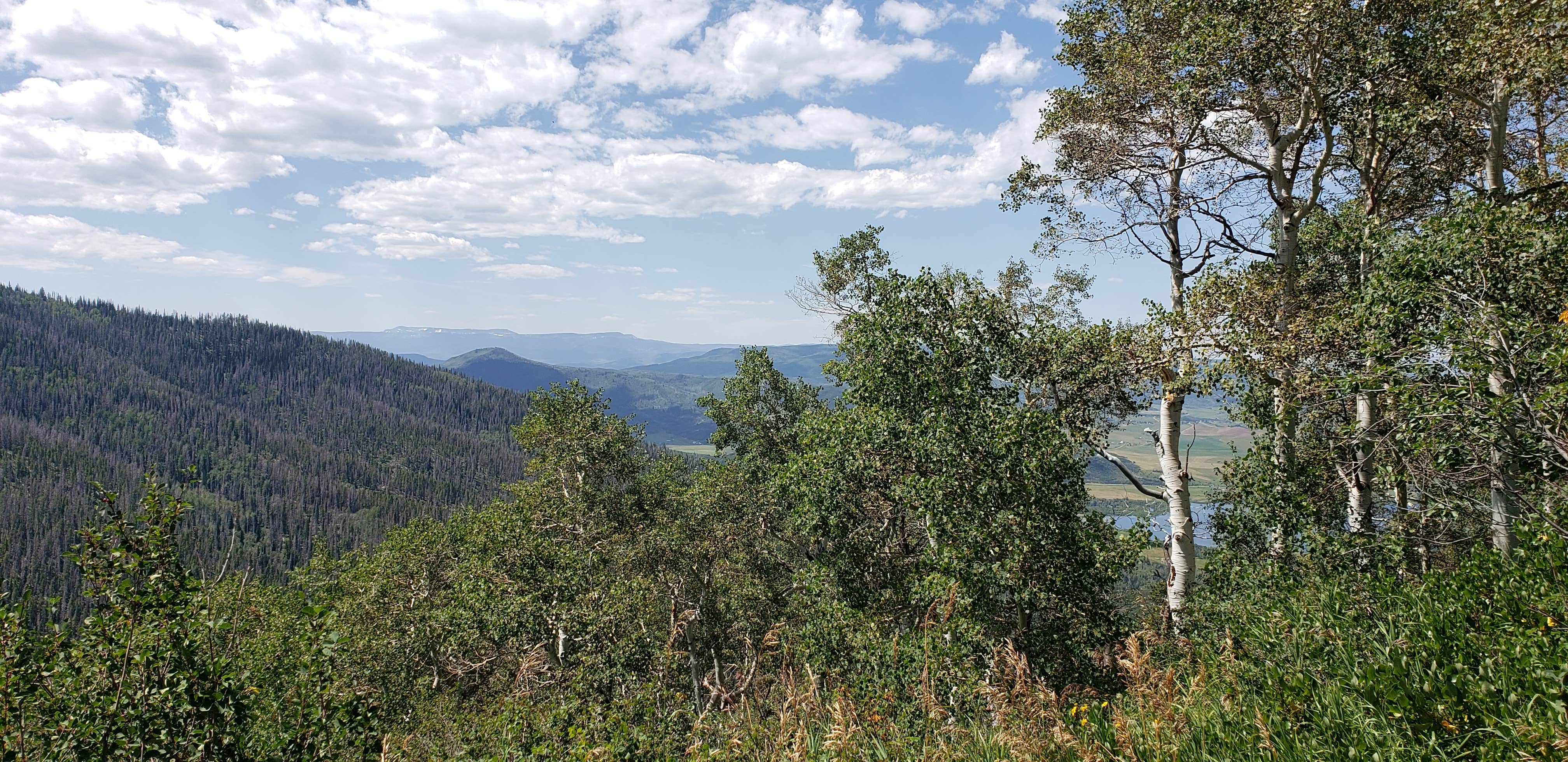 Jason's photo of a dispersed camping area at Dispersed Overlook off Hwy 40 near Clark, CO
