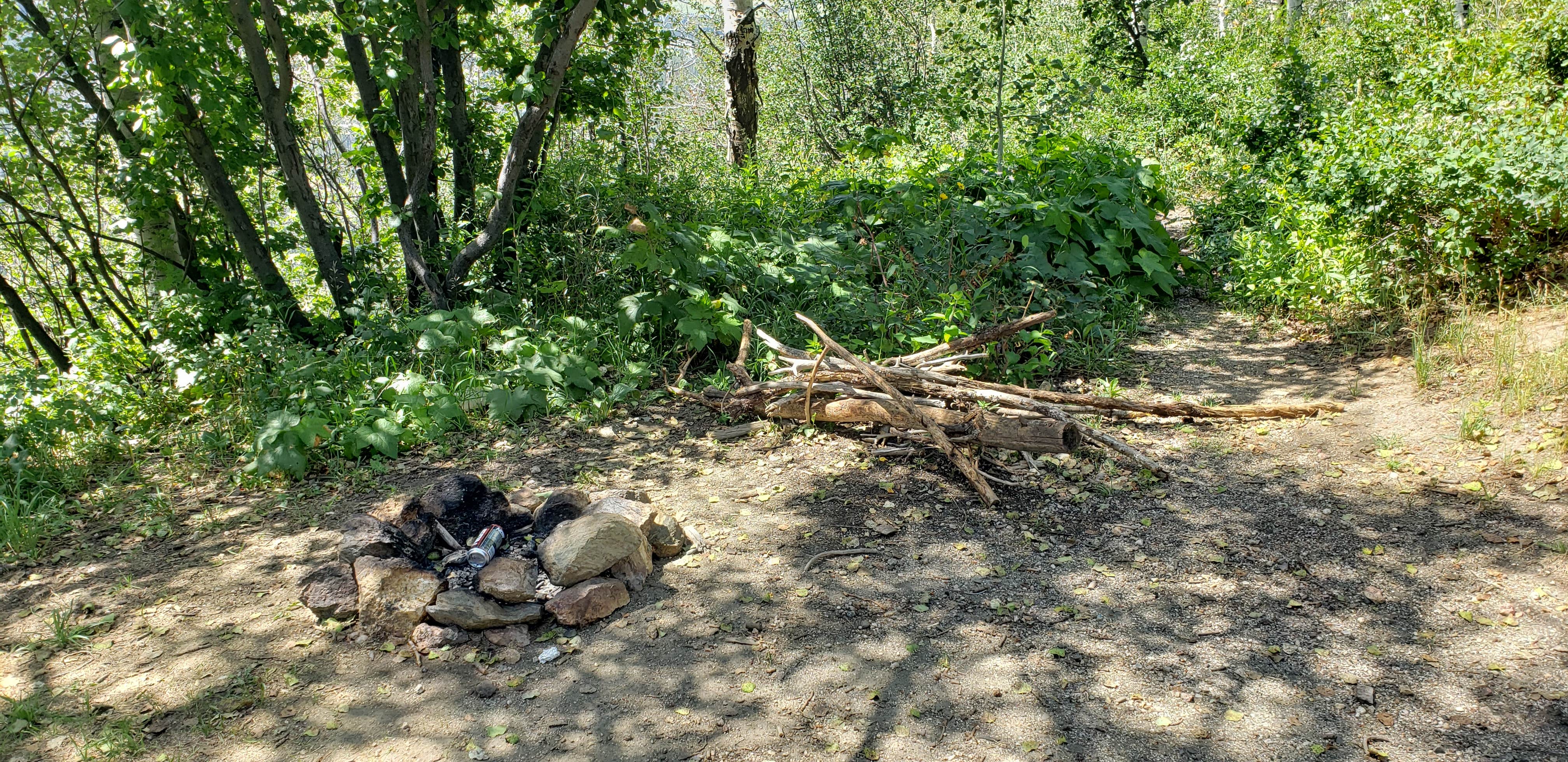 Camper submitted image from Dispersed Overlook off Hwy 40 - 5