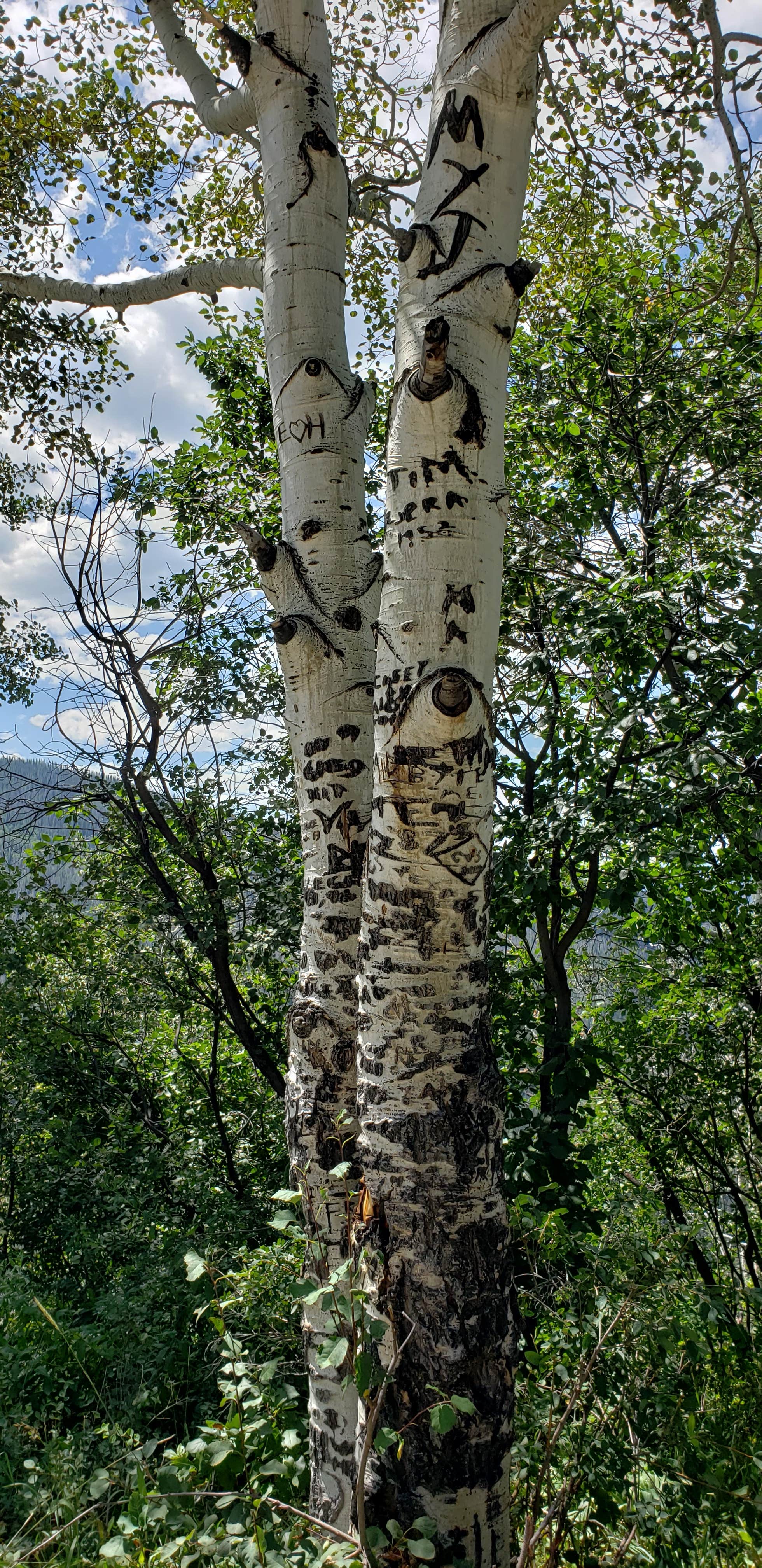 Camper-submitted photo at Dispersed Overlook off Hwy 40 near Coalmont, CO