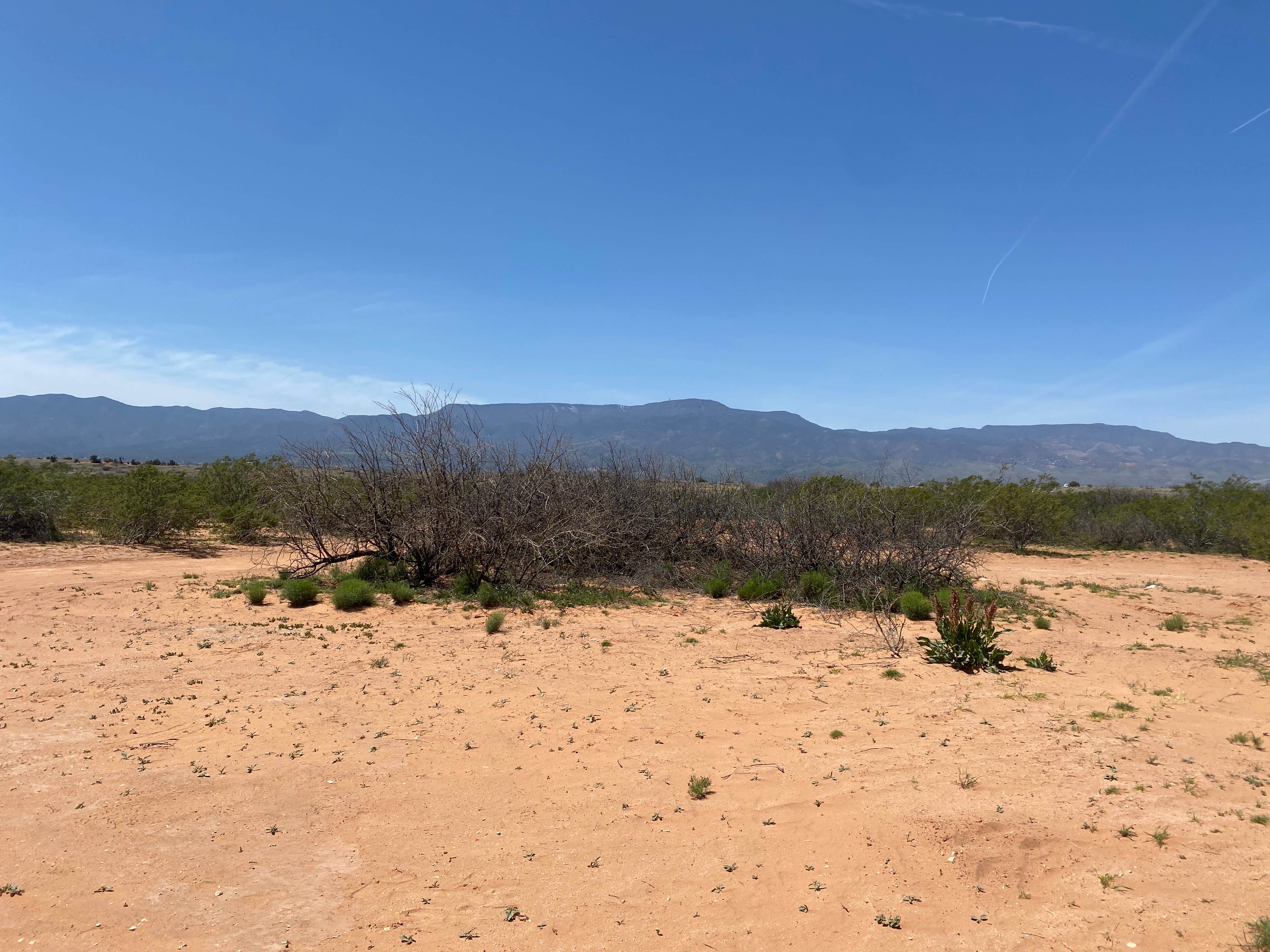 Camper-submitted photo at Forest Service Road 761 near Jerome, AZ