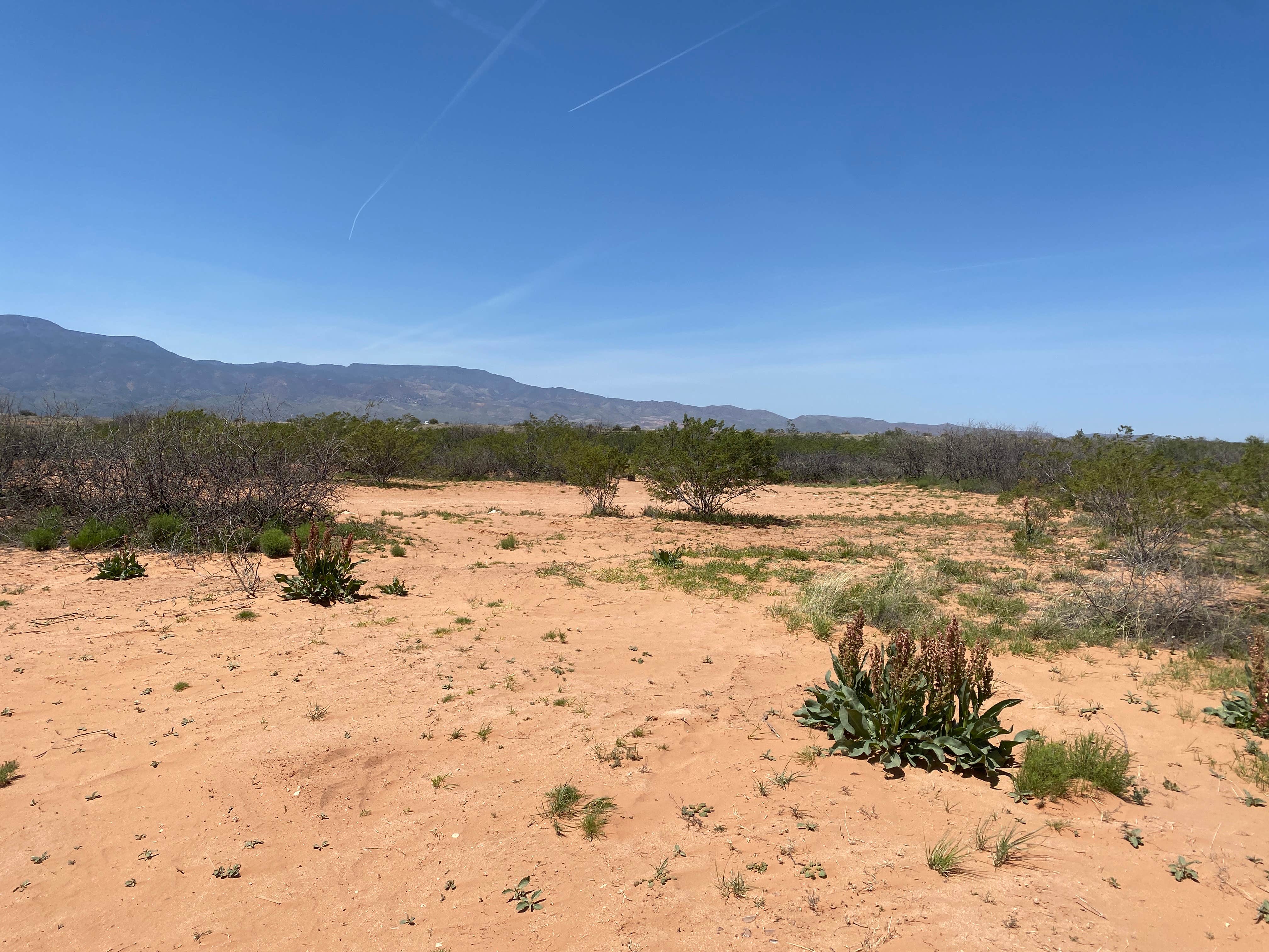 Camper-submitted photo at Forest Service Road 761 near Jerome, AZ