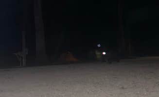 Jon J.'s photo at 4A River Camp near Branford, FL