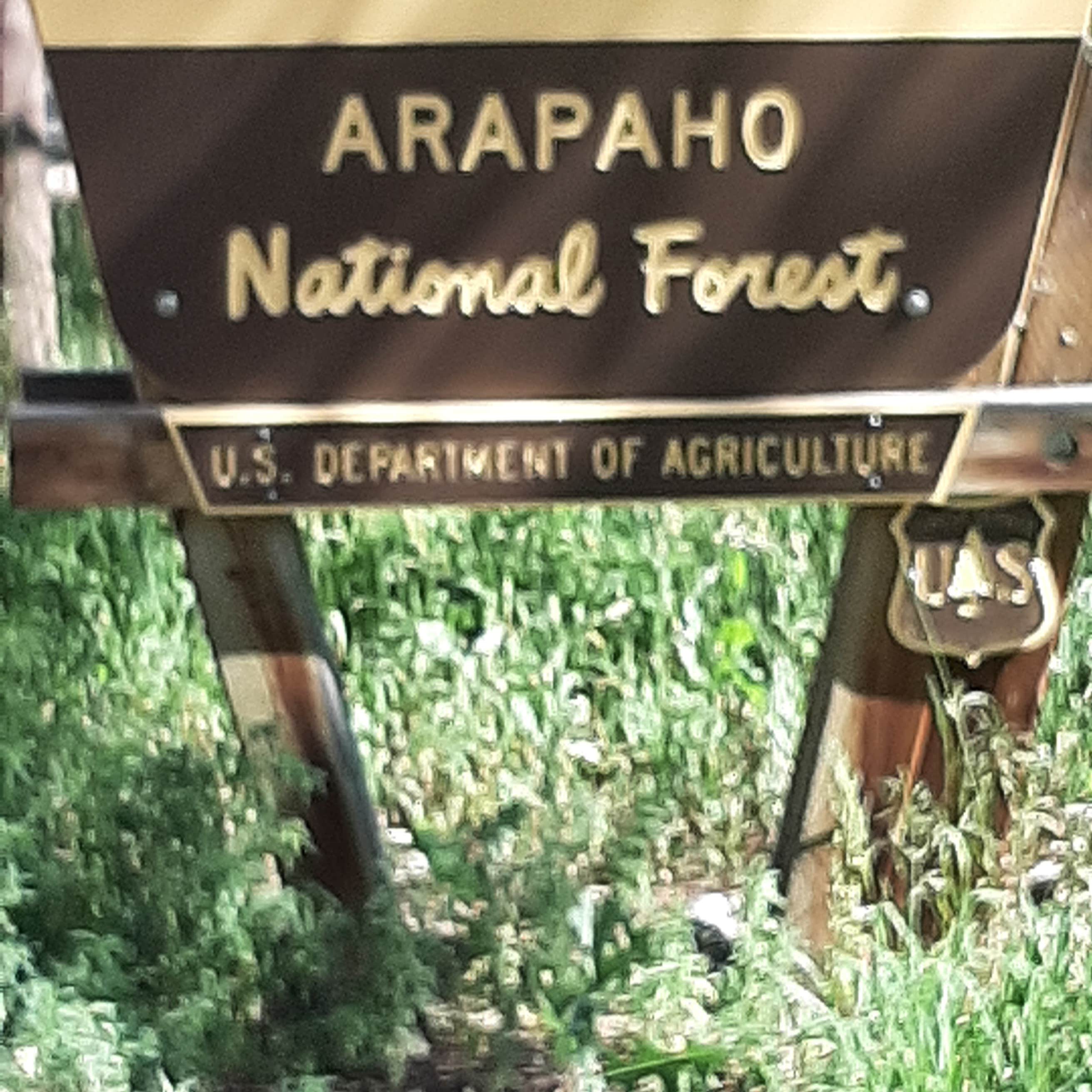 Upper and Lower Ansel Watrous Campgrounds | Livermore, Colorado
