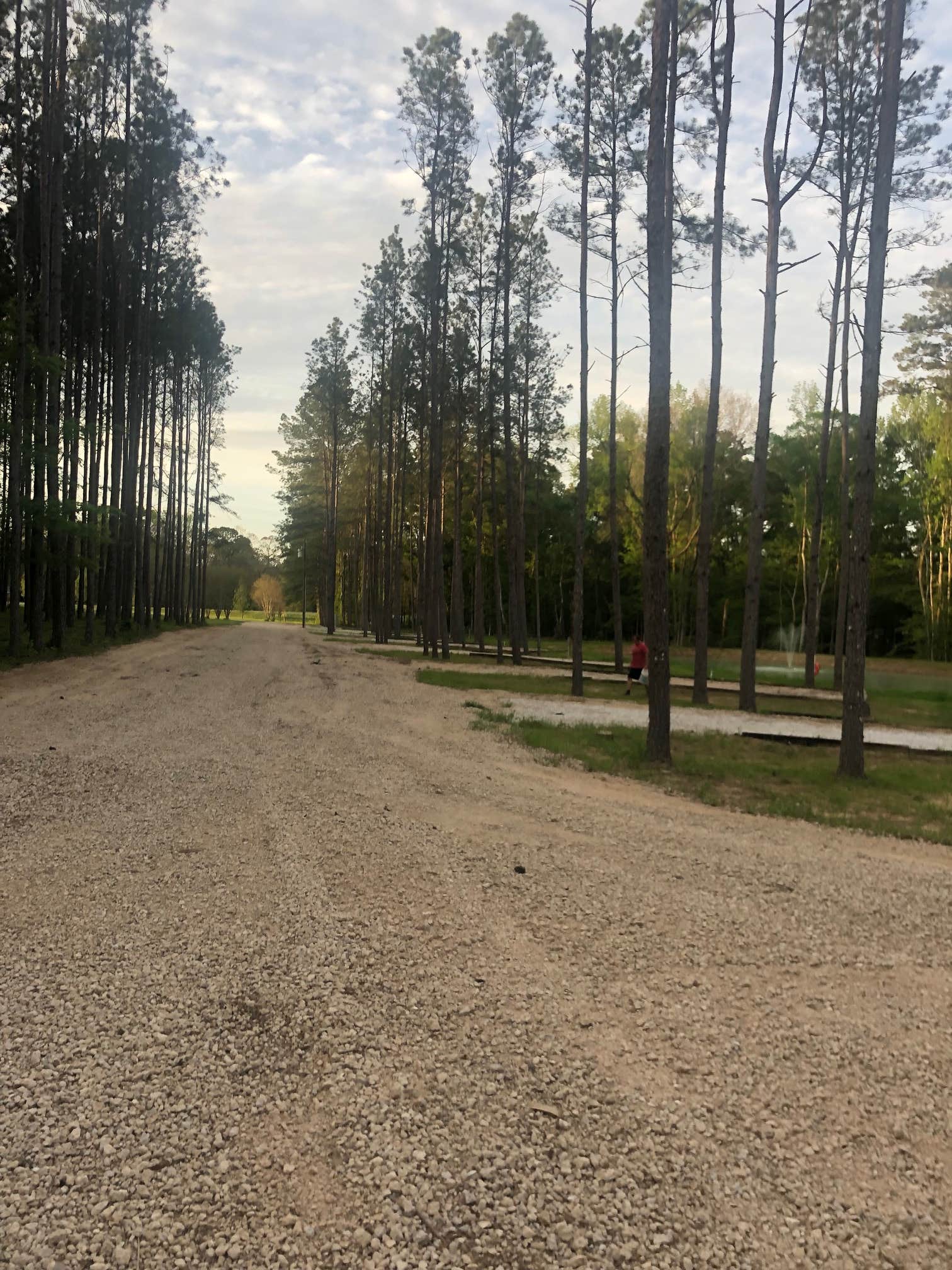 Camper-submitted photo at Red River Valley RV Park near Lecompte, LA