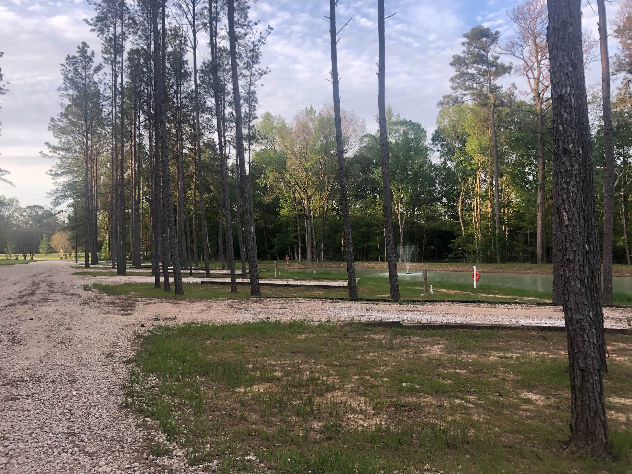 Camper-submitted photo at Red River Valley RV Park near Lecompte, LA