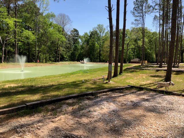 christine D.'s photo of camping with pets at Red River Valley RV Park near Marksville, LA