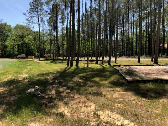 christine D.'s photo of camping with pets at Red River Valley RV Park near Marksville, LA