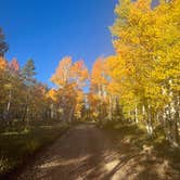 Review photo of Saddle Mountain (Kaibab NF) by Erin S., April 20, 2023