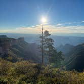 Review photo of Saddle Mountain (Kaibab NF) by Erin S., April 20, 2023