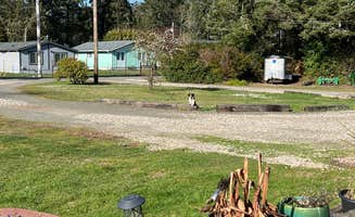 Connie D.'s photo of camping with pets at K-Syrah Resort near Astoria, OR