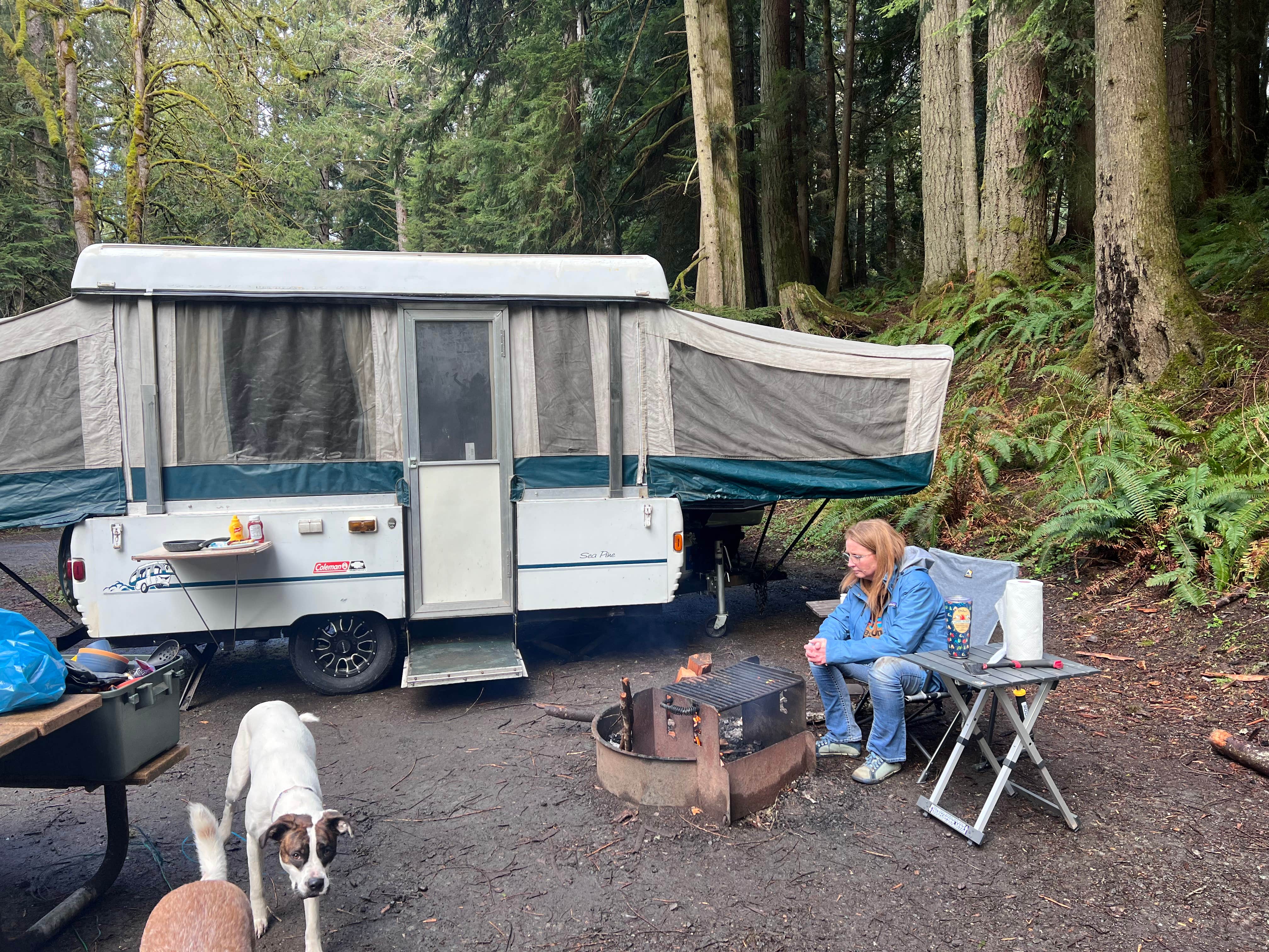 Ben G.'s photo of camping with pets at Lyre River Campground near Port Angeles, WA