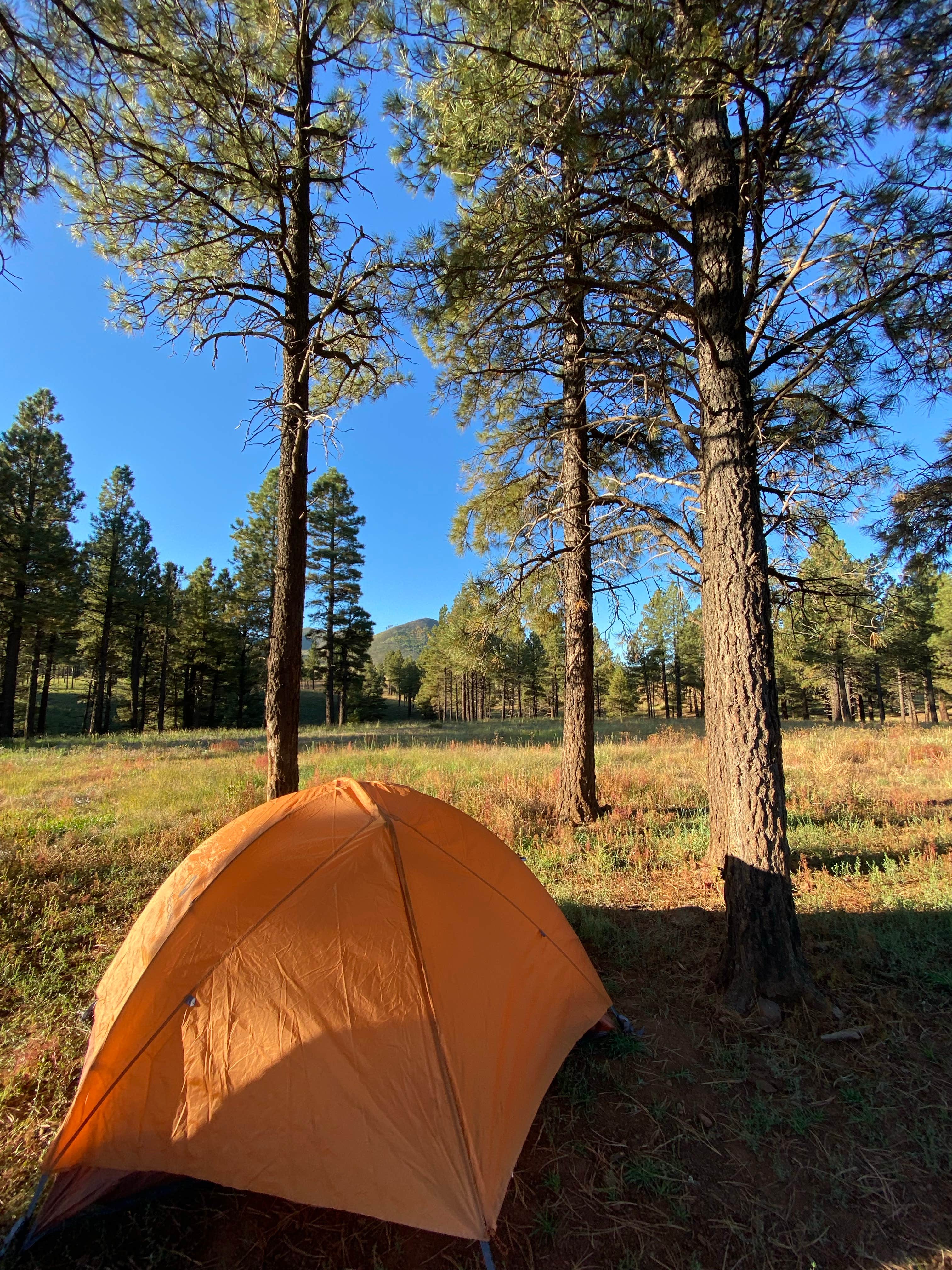 Kelly Tank Dispersed Camping