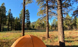 Camping near Kendrick Cabin: Kelly Tank Dispersed Camping, Bellemont, Arizona