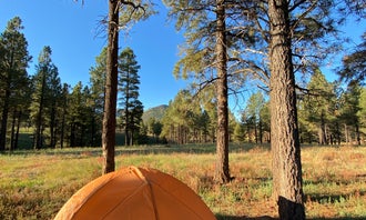 Camping near Arizona Nordic Village: Kelly Tank Dispersed Camping, Bellemont, Arizona