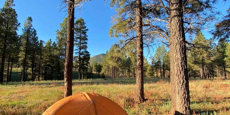 Camper submitted image from Kelly Tank Dispersed Camping