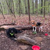 Review photo of Ringing Rocks Family Campground by Erika T., April 21, 2023