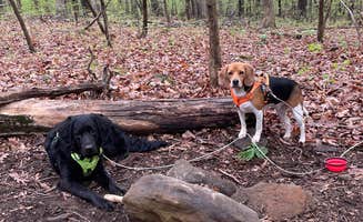 Erika T.'s photo of camping with pets at Ringing Rocks Family Campground near Maple Glen, PA