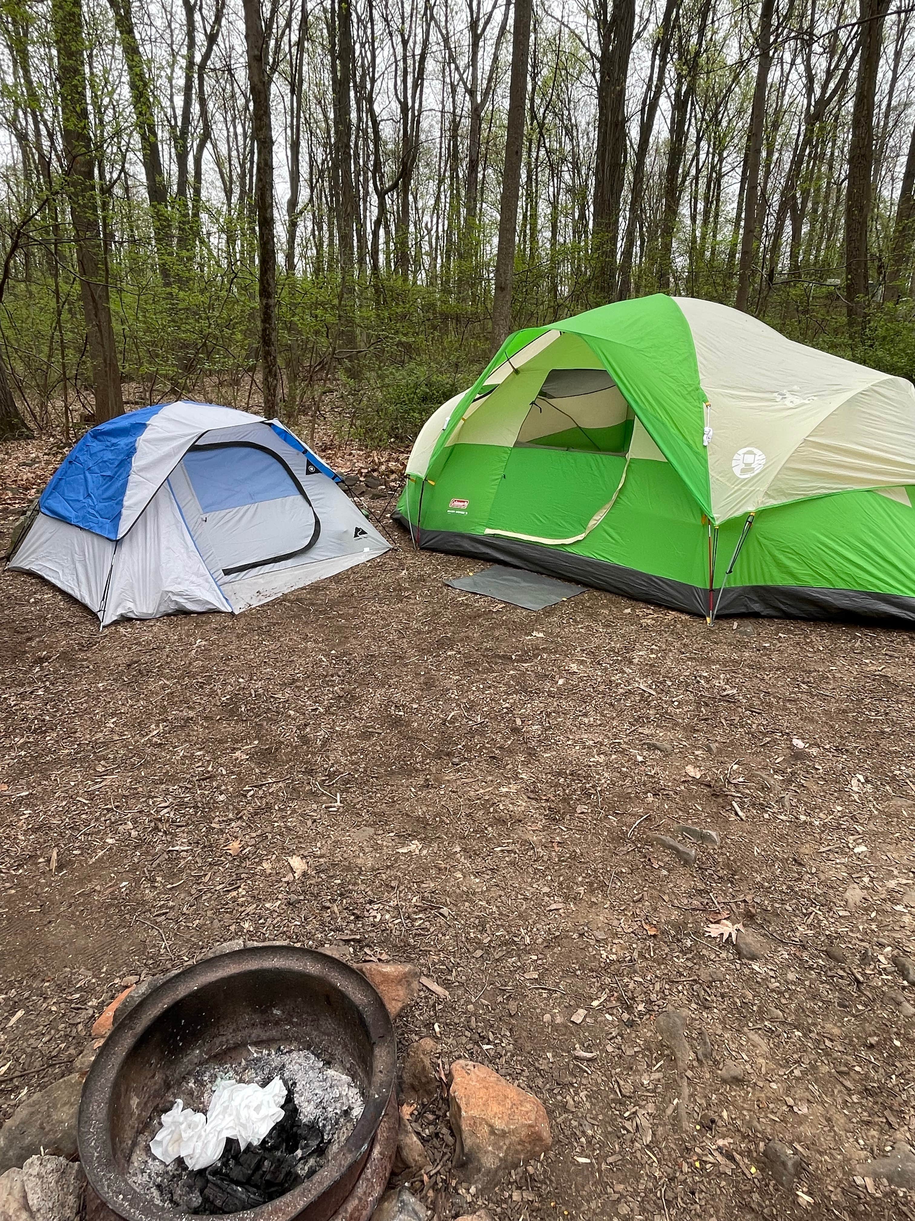 Camper submitted image from Ringing Rocks Family Campground - 5