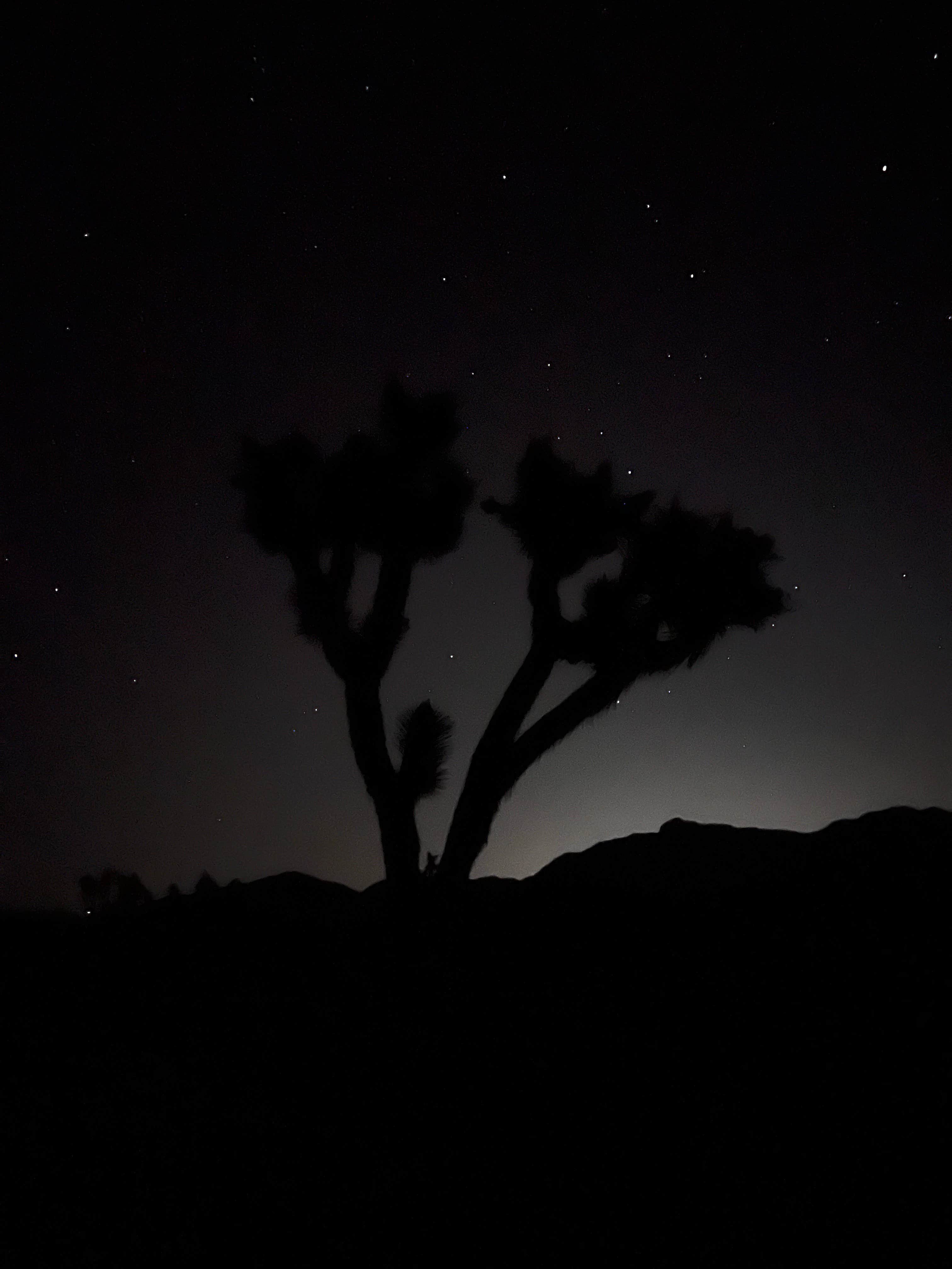 Camper-submitted photo at Beaver Dam Washington Dispersed Camping area near Veyo, UT