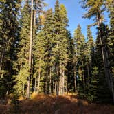 Review photo of Target Meadows Campground — Umatilla National Forest by Nicole C., October 5, 2018