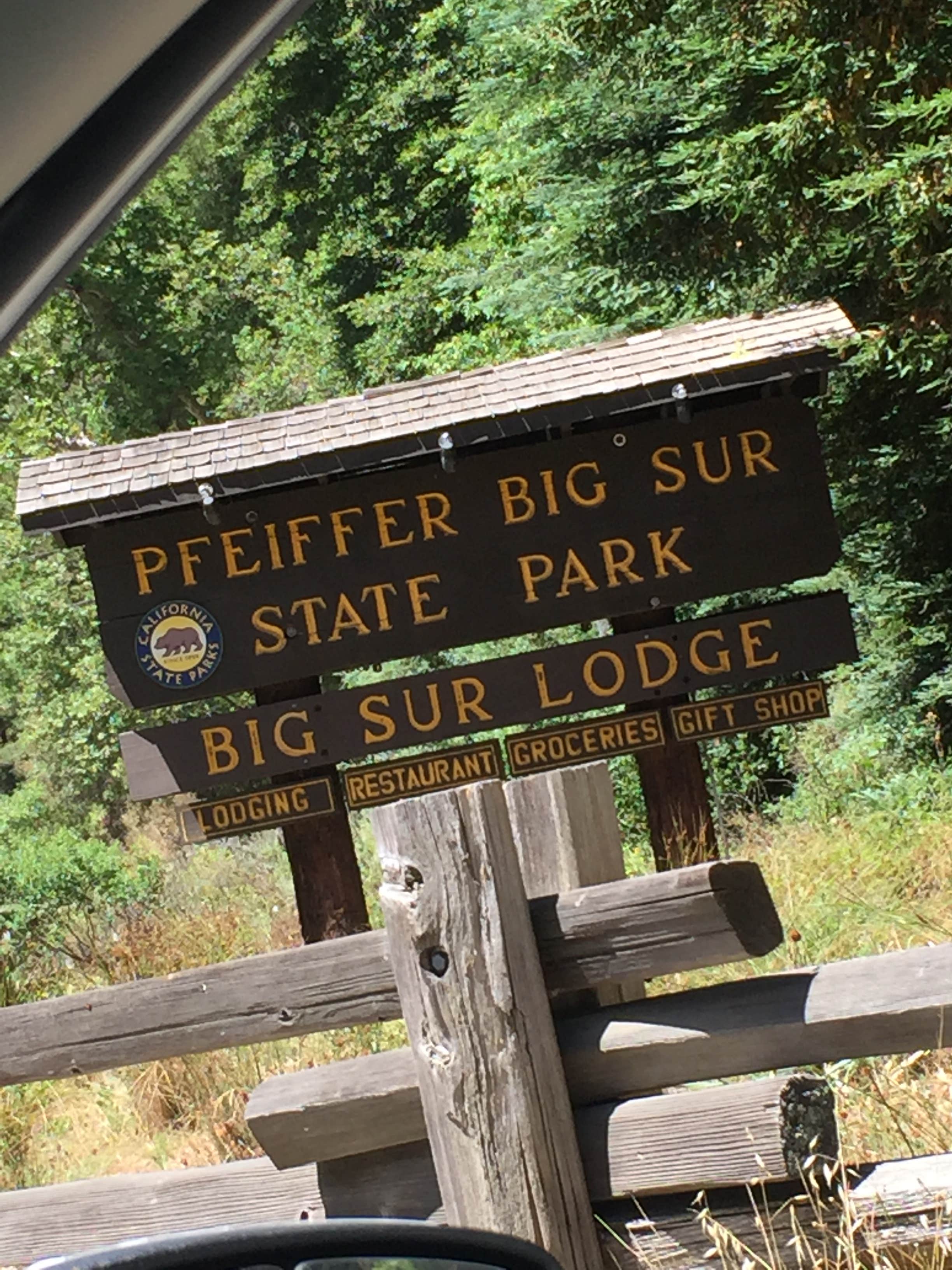 Camper submitted image from Pfeiffer Big Sur State Park Campground - 5