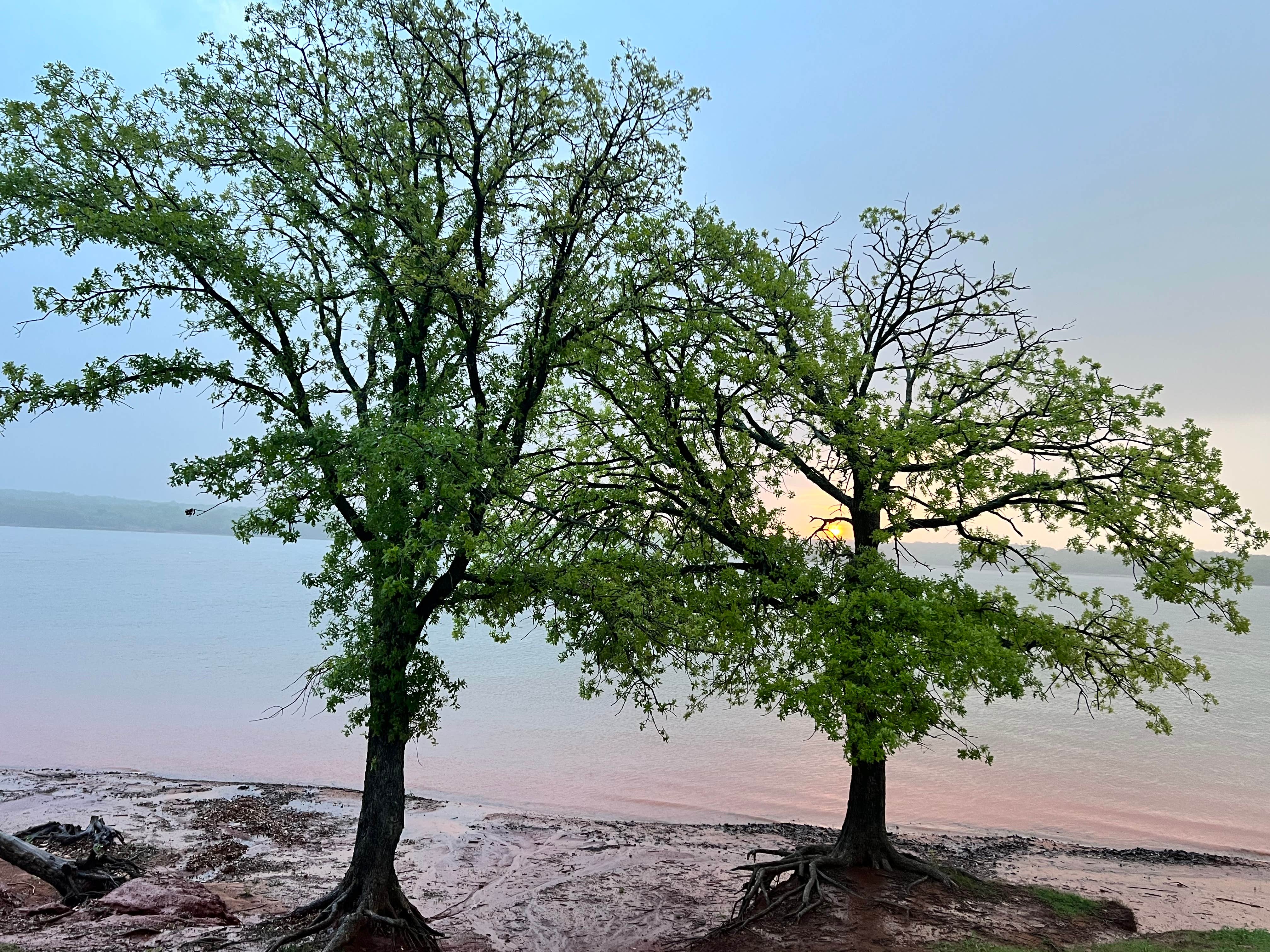 Camper submitted image from Hickory Hill — Lake Thunderbird State Park - 2