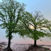 Review photo of Hickory Hill — Lake Thunderbird State Park by Maggie  C., April 21, 2023