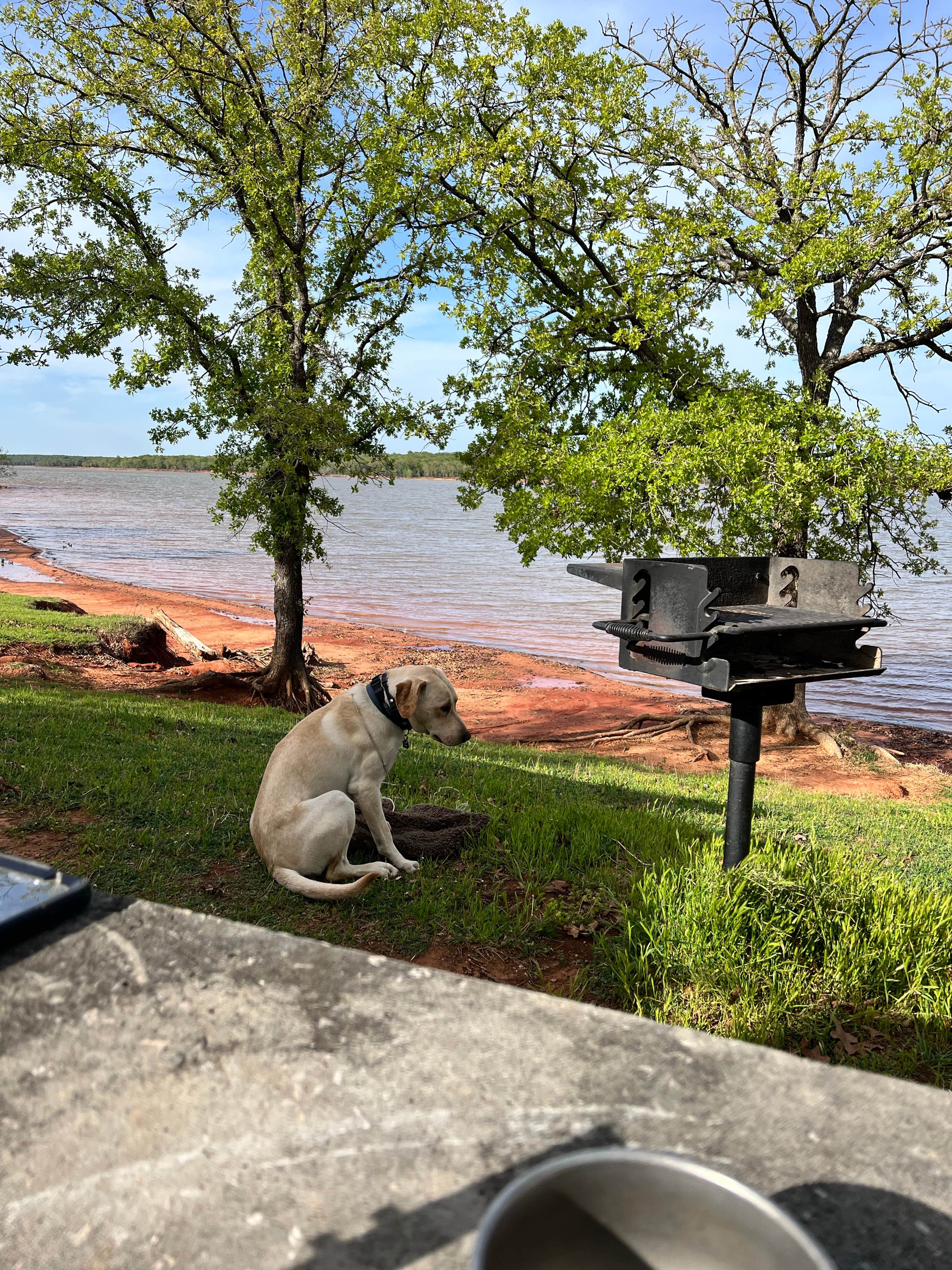 Maggie  C.'s photo of camping with pets at Hickory Hill — Lake Thunderbird State Park near Choctaw, OK