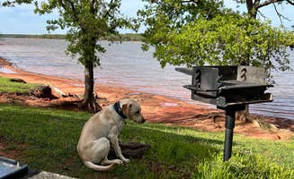 Maggie  C.'s photo of camping with pets at Hickory Hill — Lake Thunderbird State Park near Oklahoma City, OK