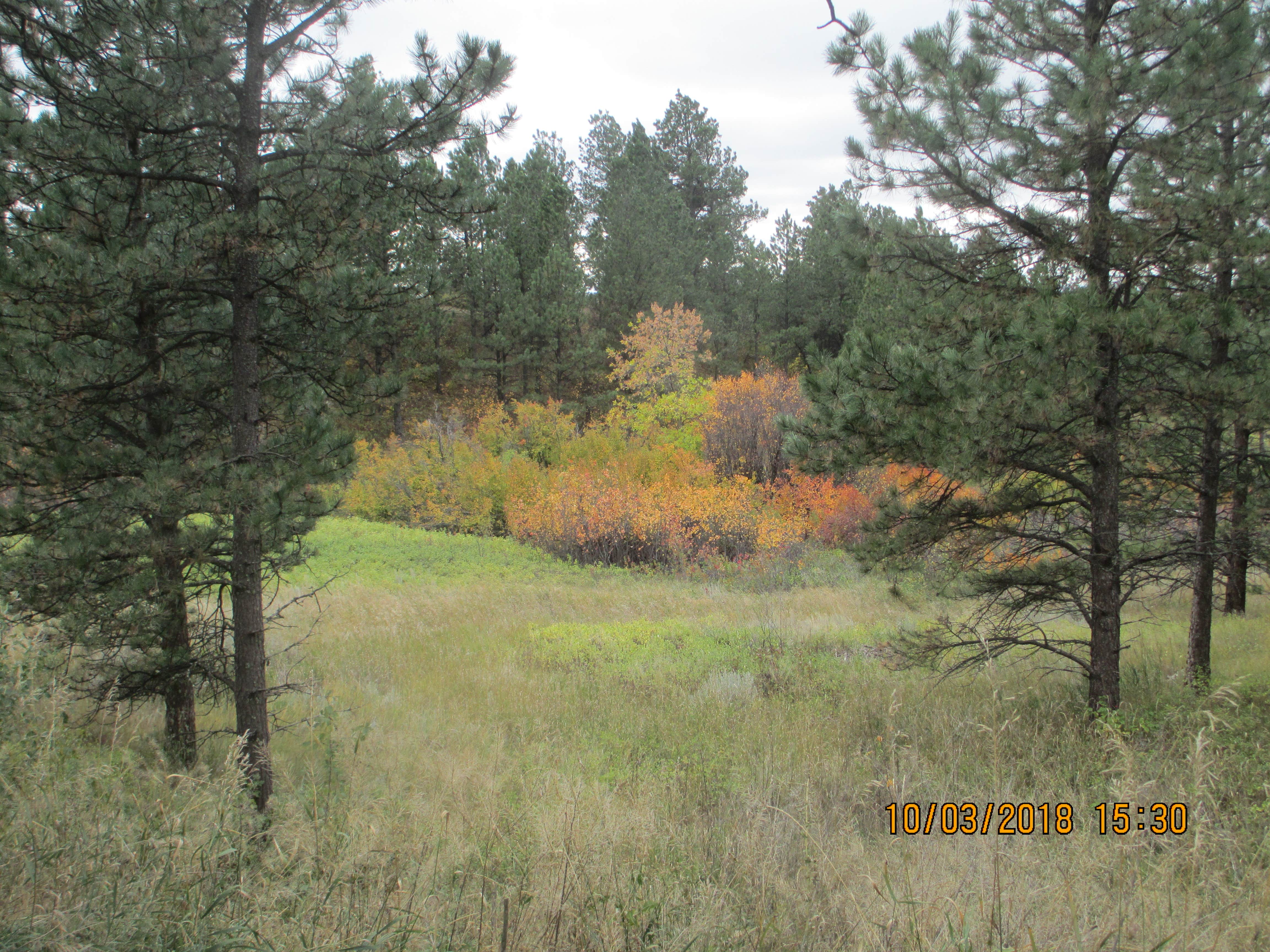 Camper-submitted photo at Reva Gap Campground near Hettinger, ND