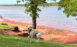 Maggie C.'s photo of camping with pets at Hickory Hill — Lake Thunderbird State Park near Oklahoma City, OK