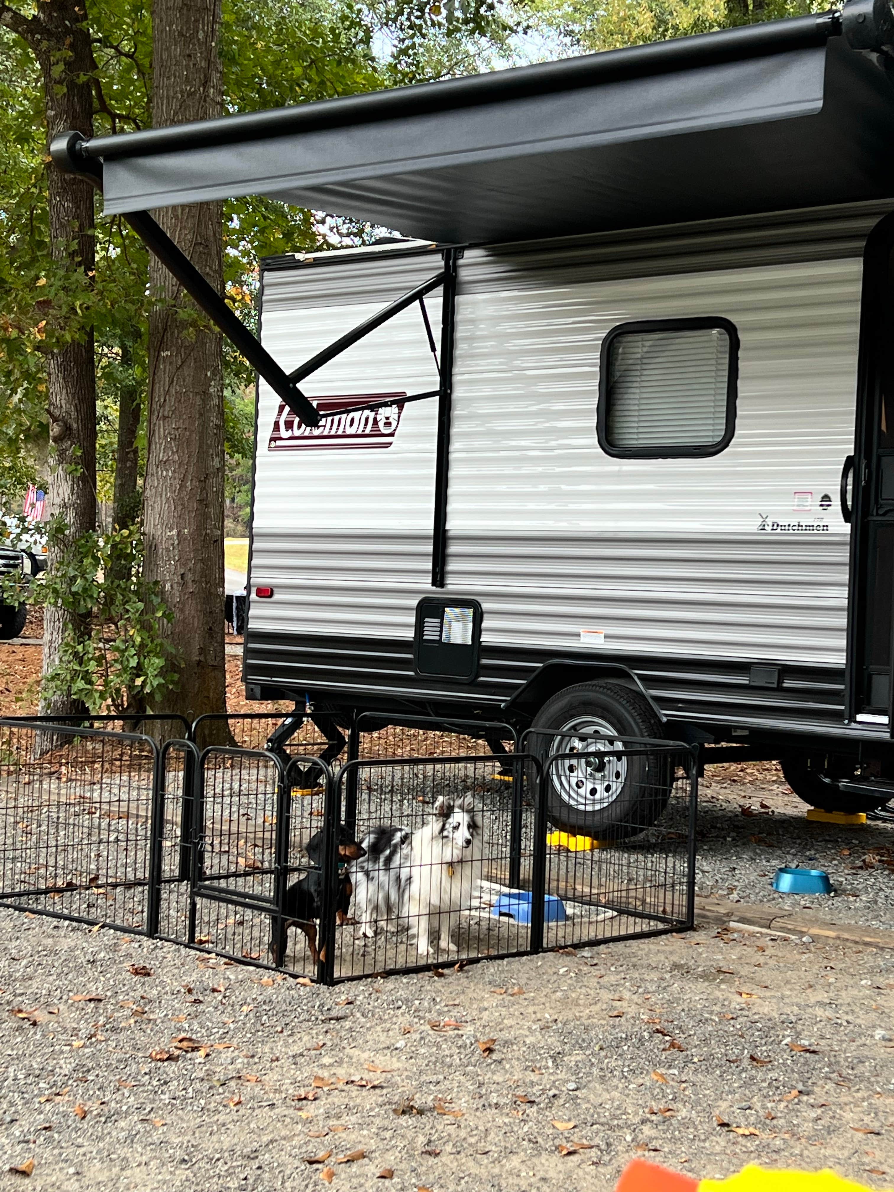 Maggie  C.'s photo of camping with pets at Kolomoki Mounds State Park Campground near Clopton, AL